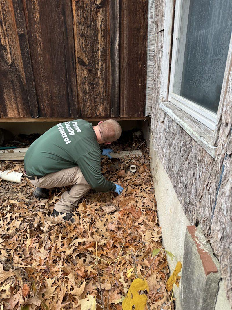 A pest-control technician inspecting a crawlspace vent and foundation entry point at an Owings home