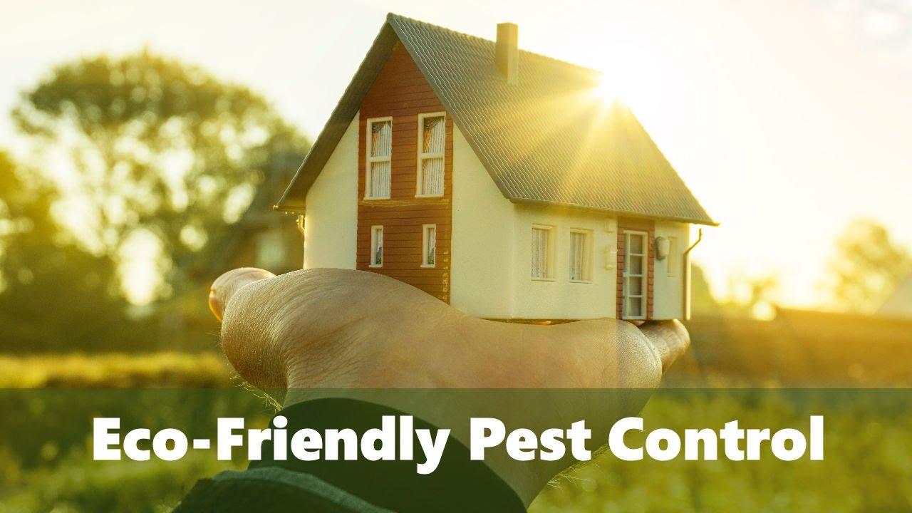 Before you buy pest control — two questions to ask