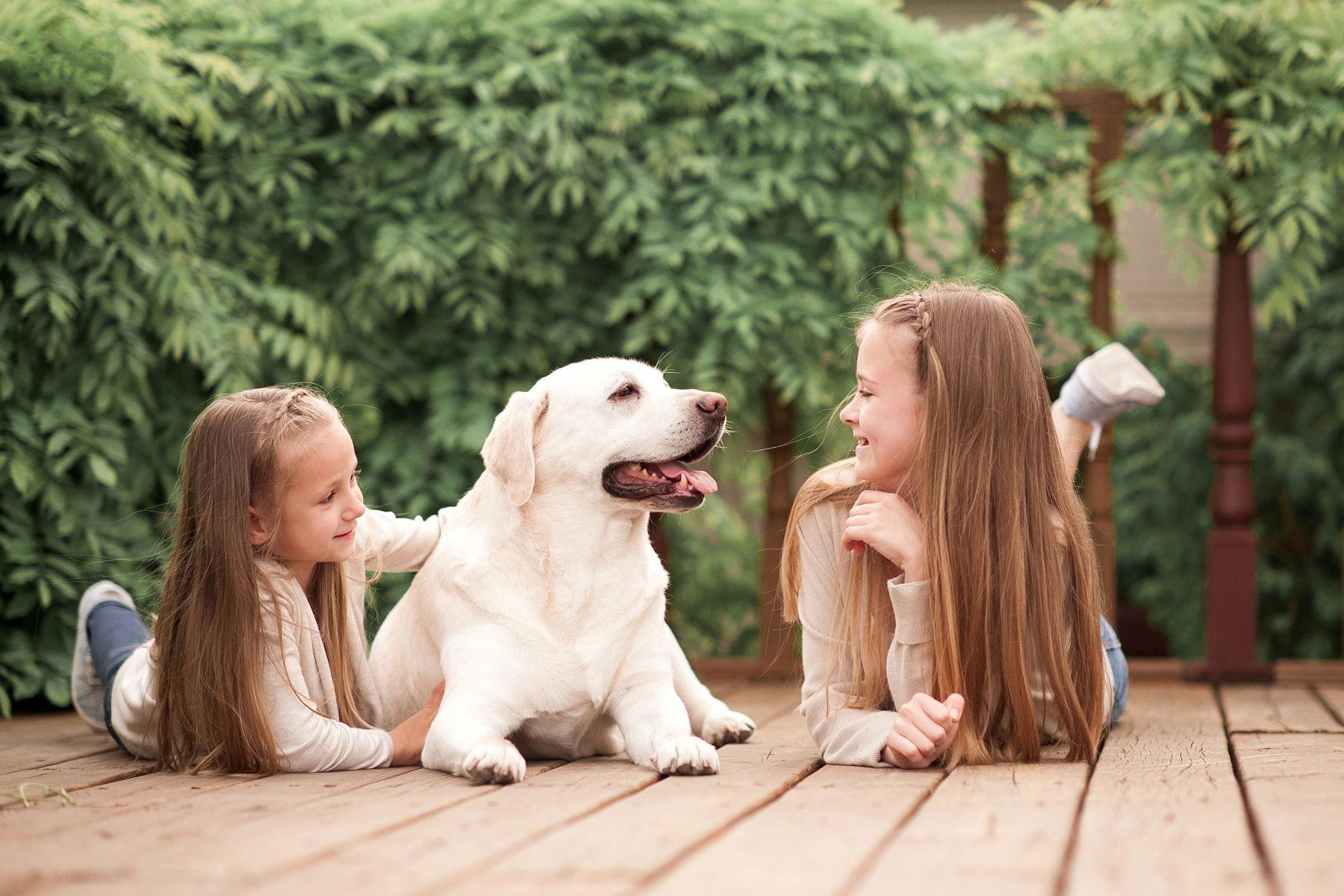 A family and their Labrador enjoying a pest-free day outdoors